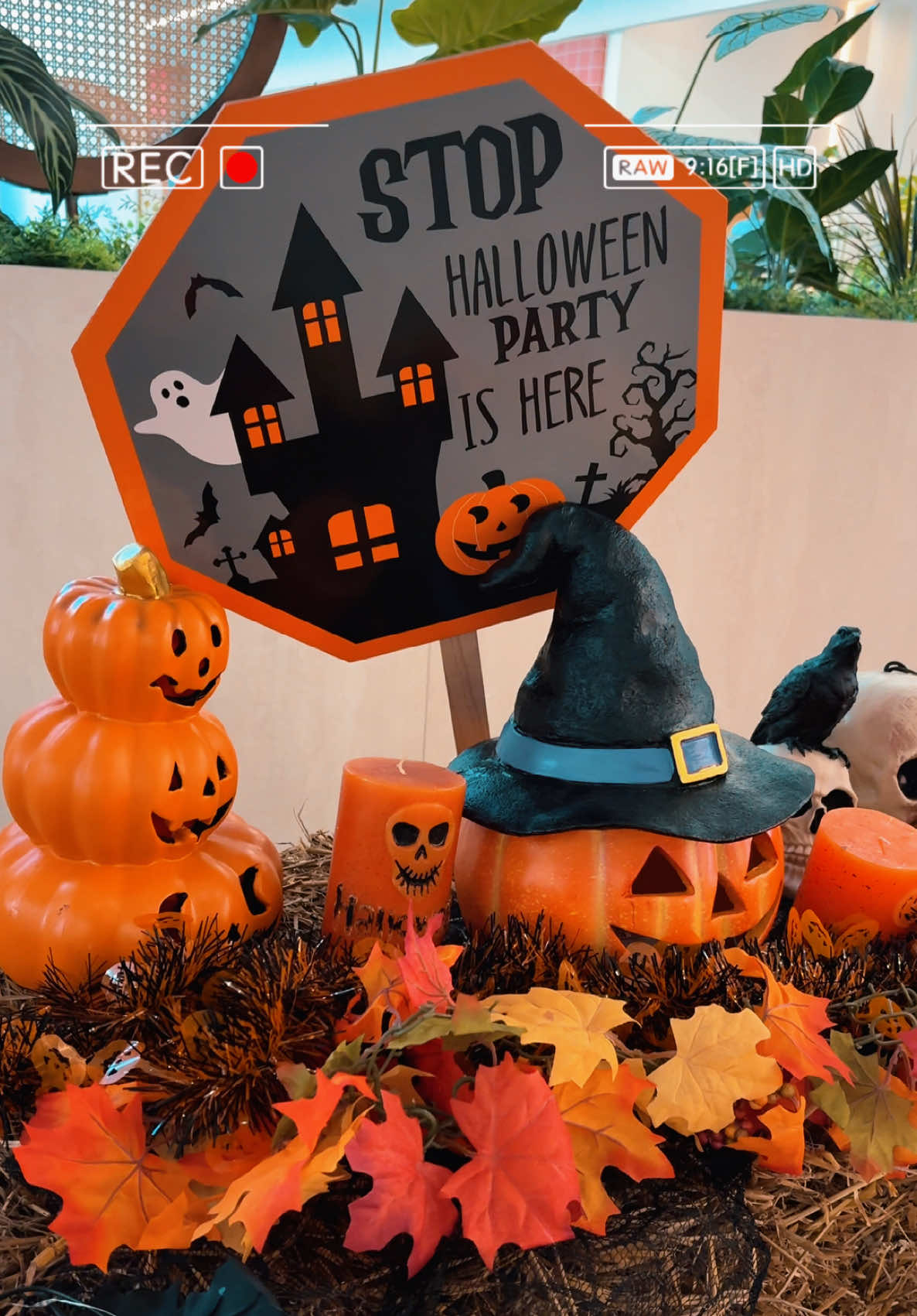 Gati për Halloween night 🎃💀 #foryoupage #fyp #viral #kosovo #halloweenlook 