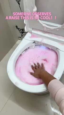 Stop scrubbing with those gross old brushes.This disposable toilet brush smells fresh,keeps your toilet spotless,and you just toss it.when you’re done.So easy!#toiletbrush #toiletcleaner #tiktokmademebuyit #bathroom 