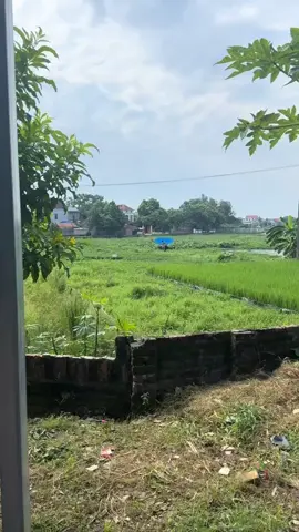 #duet cùng @Nguyễn Hoài Linh 20H1 #diều_sáo_việt_nam 