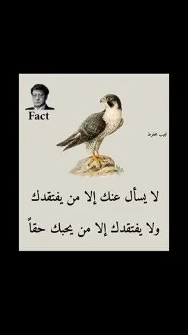 #مشاهدات_تيك_توك #عبارات_ابوعلي #creatorsearchinsights #اقتباسات_عبارات_خواطر🖤🦋❤️ 