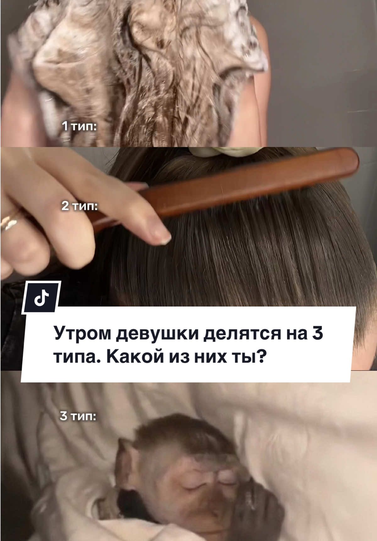 Какой тип ты?🤌🏻🤎  Подписывайся, тут все свои  УК #девушка #волосы #прическа #доброеутро 