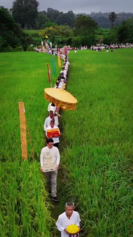 🌿 ”ปั่นฝ้าย ทอบุญ จุลกฐิน