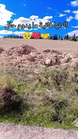 #صلة_الرحم_نعمة🥹❤️❤️🤲 #