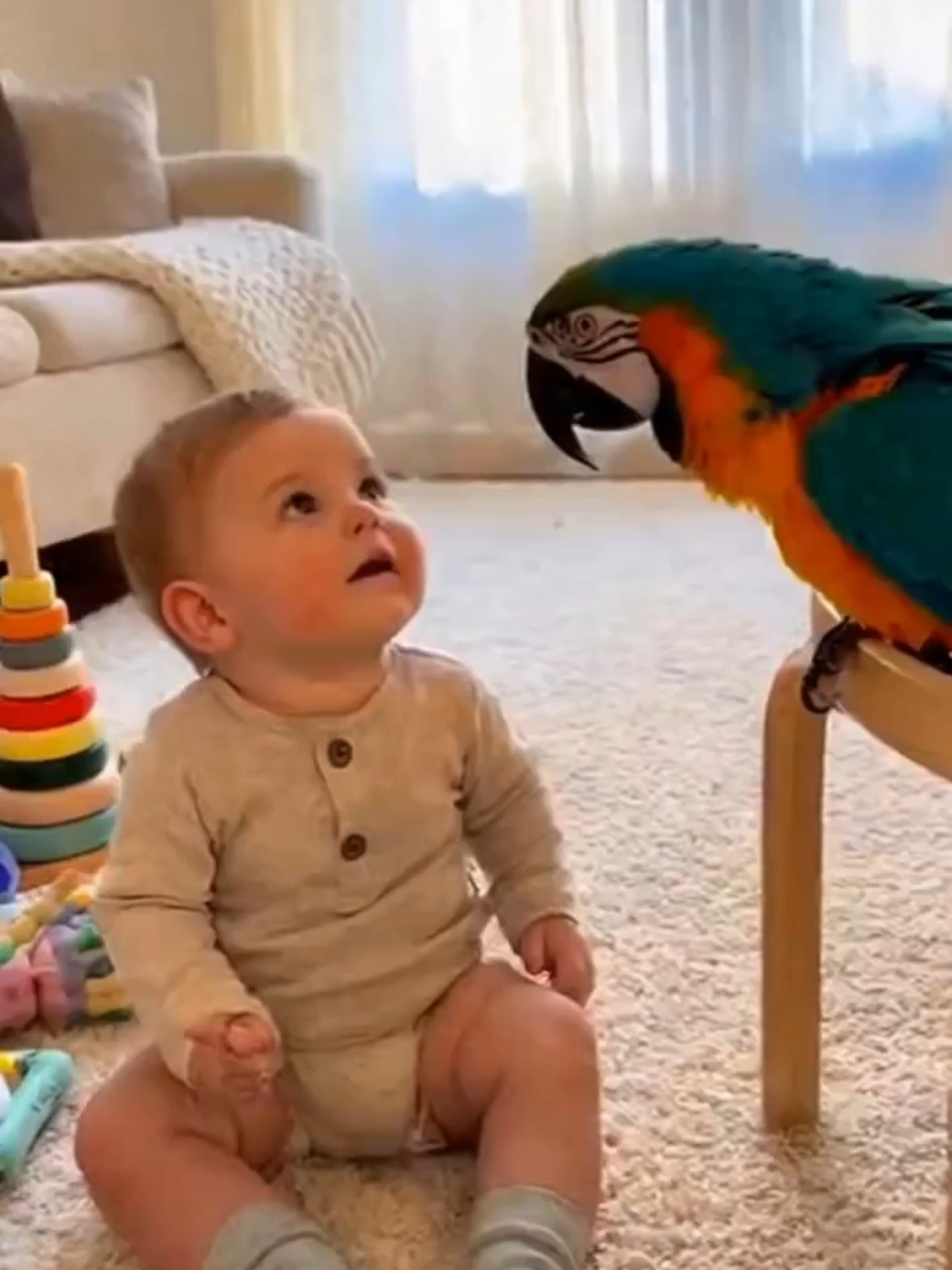 Baby Learns to Talk with Parrot 🦜👶 #CuteBaby #ParrotTalk #ViralVideo #FunnyAnimals #BabyAndParrot #SoraVideo #ComedyShort #ViralShort #SmartParrot #ParrotDrama #ComedyClip #CuteAnimals