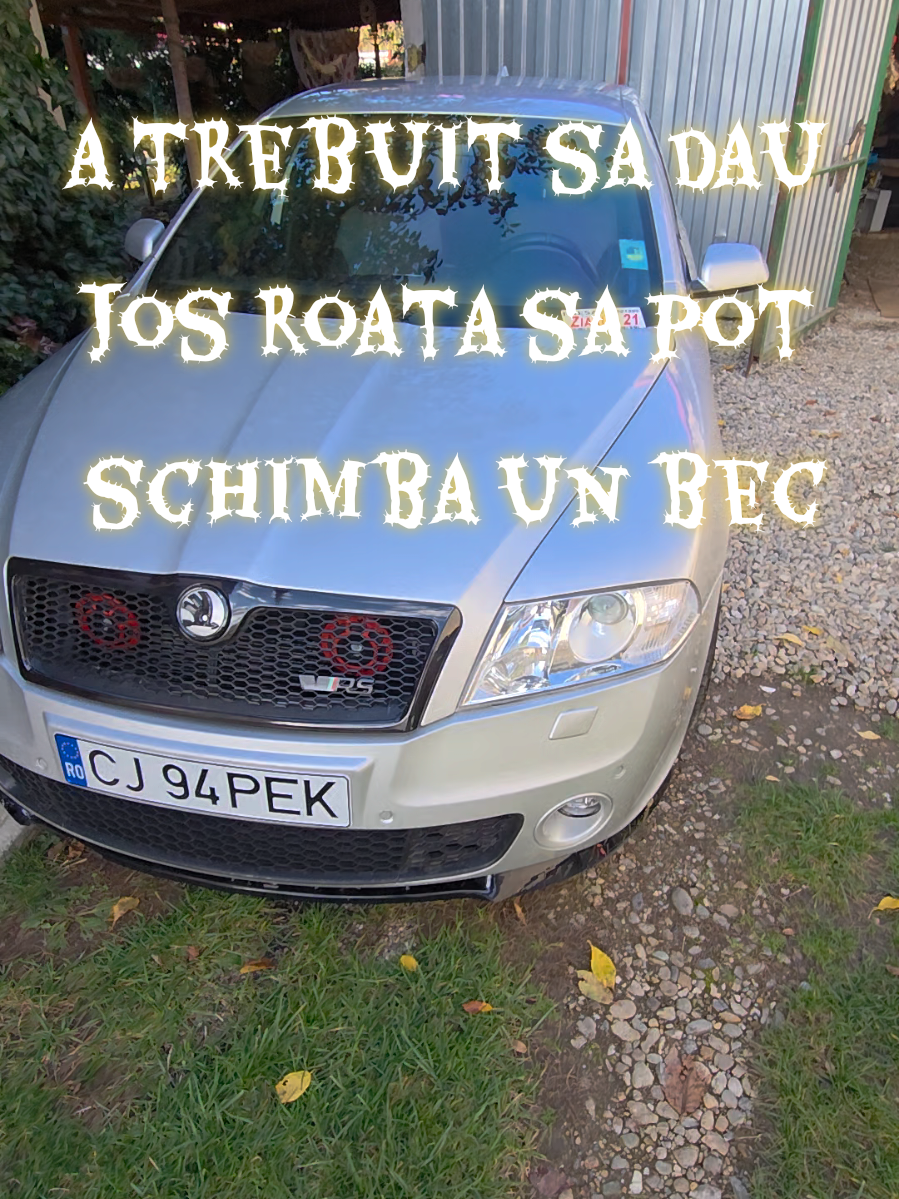 a trebuit sa dau jos roata sa pot schimba un bec #skoda #tunning #octavia2vrs #vrs #skodavrs 