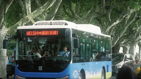 “Nguyện cho em bình an đi qua xuân thu bốn mùa, ngắm nhìn hết ngàn vạn phong cảnh rực rỡ.”#chualanh #phongcanh #fyp #xuhuong 