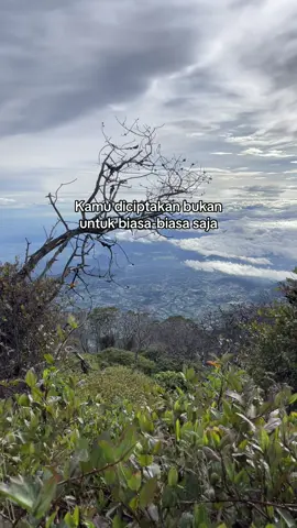 😇#fyp #views#katakata #quotes 