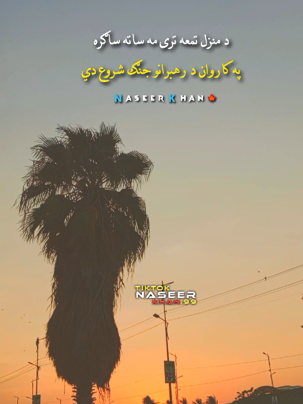 poetry status... 🔥 🖤 🕊️ #foryou #tranding #pashtopoetry #status #pukhto_lyrics_nk99 @☆*｡𝑺𝒉𝒂𝒉𝒂𝒃𝒌𝒉𝒂𝒏𝒐01｡*☆ @Arsalan khan @🇭 🇦 🇸  🇸  🇦  🇳 @sagar jan yousaf khel @🇳⬥🇰ᵂʳⁱᵗᵉˢ🍁𝆺𝅥⃝📝 @🇳⬥🇰ᵂʳⁱᵗᵉˢ🍁𝆺𝅥⃝📝 