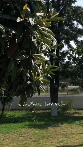 #foryou #creatorsearchinsights 