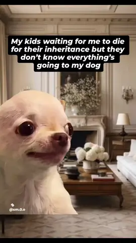Antwort auf @sm.0.o 🤣 Follow this page for more evil and hilarious memes and join the future global meme empire. Follow now before it’s too late and this page is hot and famous  😈😂 Evil Dog Merch in my Bio! Want something custom? DM us , We’ll make it for you instantly! 🐶 #diabolical #memes #evildog #relatable #doglovers 