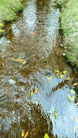 Skardu #views #tourism #villagelife #skarduvalley #skardu #touristlife #traveltiktok #pakistani_tik_tok_viral #nature #travel #skardubaltistan #explore #viral #traveler #naturelover #meadow #foryou #travelling #deosai #pakistani_tik_tok 