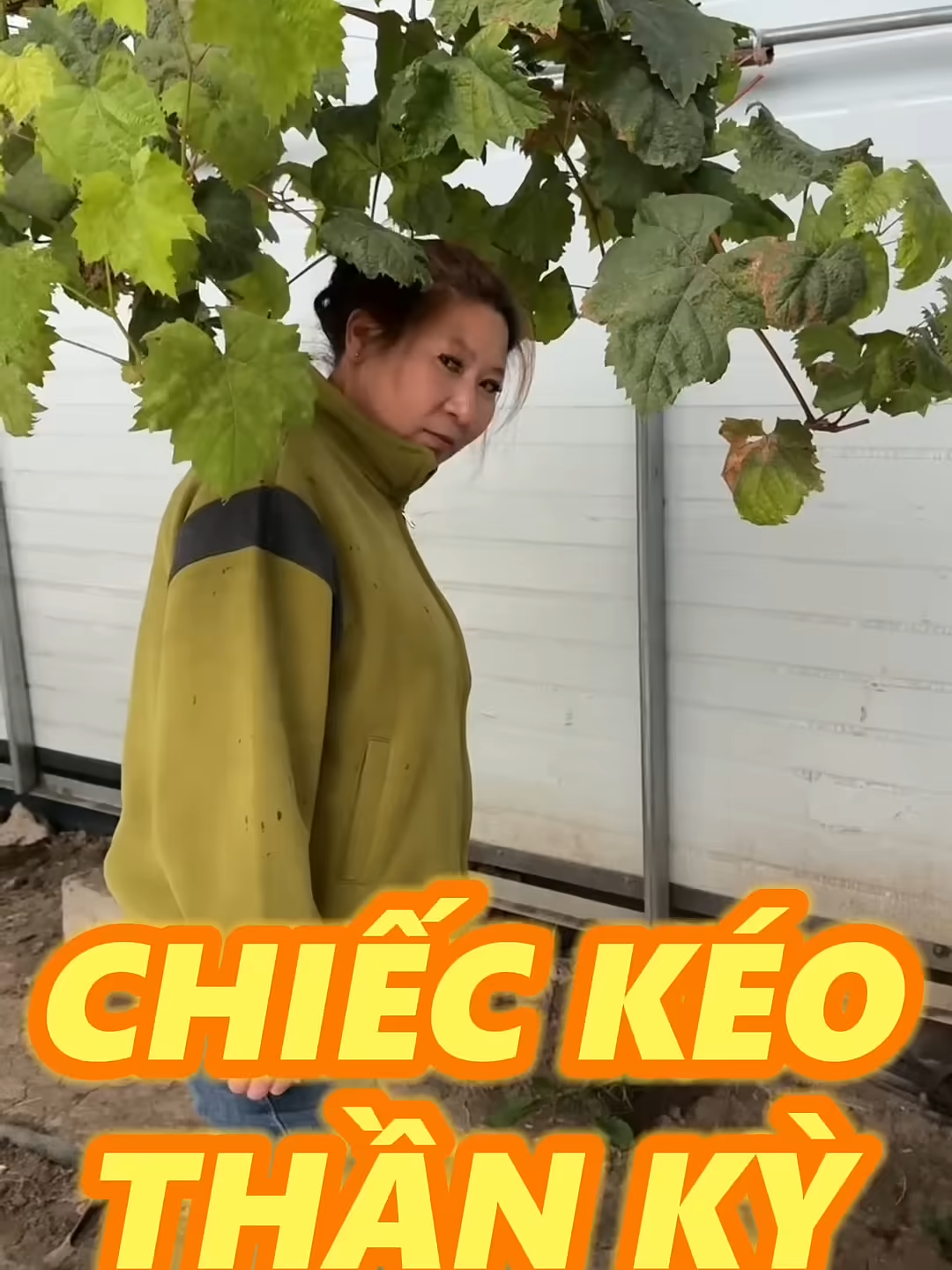 LẠI TỚI PHÁ VƯỜN NHO CỦA BÀ CHỊ#food #reels #fyp #streetfood #foodies #foryoupage❤️❤️ #maidiannha99 #LearnOnTikTok #foryou