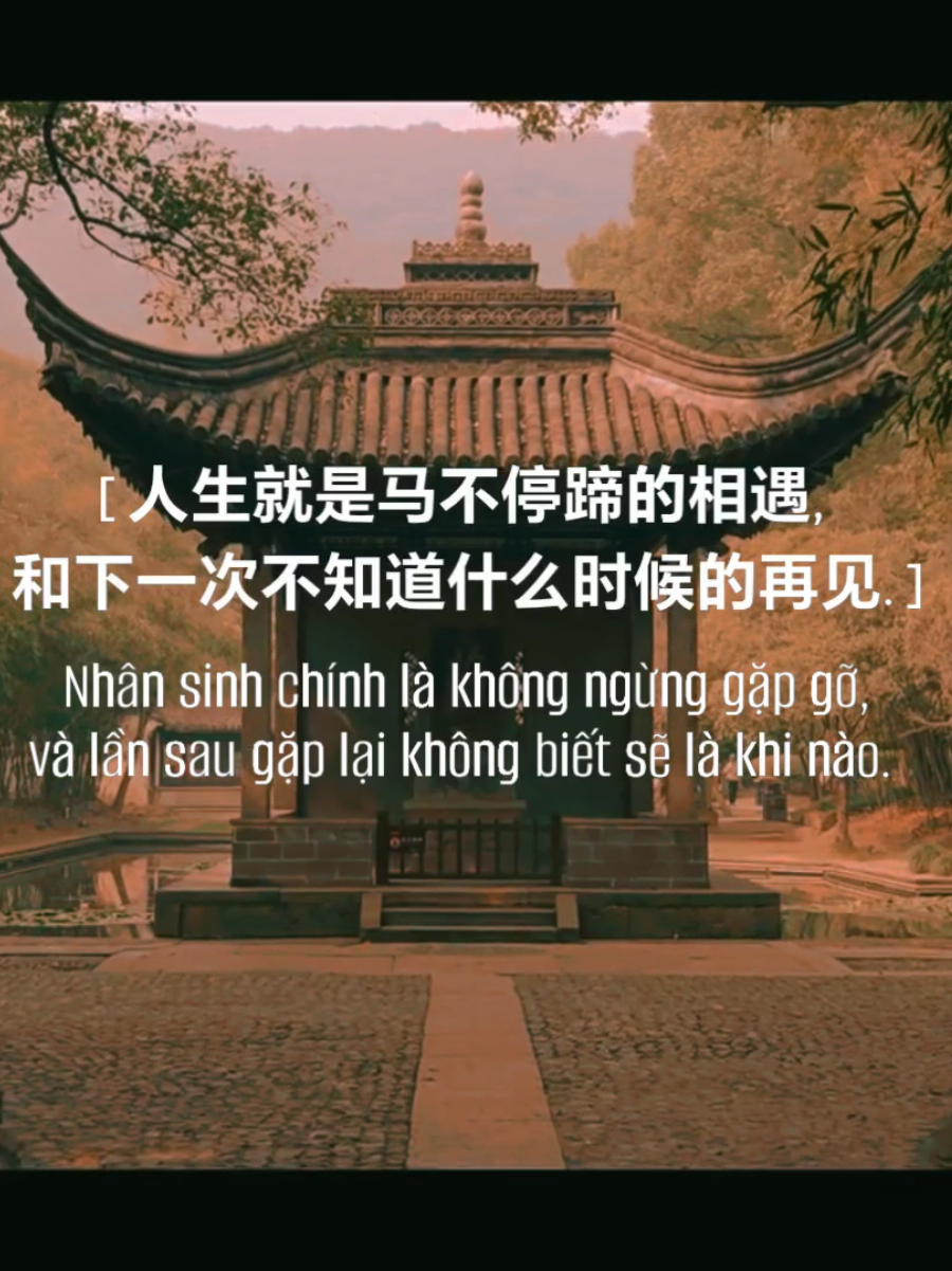 Nhân sinh nếu chỉ như lần đầu gặp gỡ. Video: Xiaohongshu #nhachaymoingay🎧 #tiengtrung 