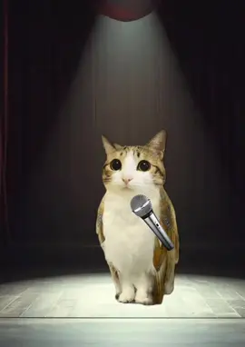Meowl is extremely talented.  . . . . #fyi  #meowl #radiohead #panicatthedisco #catsoftiktok #talent #viral #viralvideo 