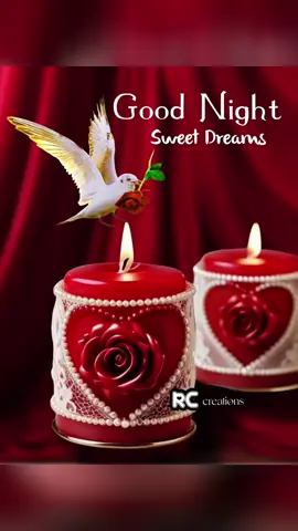 #good night best wishes 🙏🙏🙏🙏🙏#پاُگل  لڑکی #