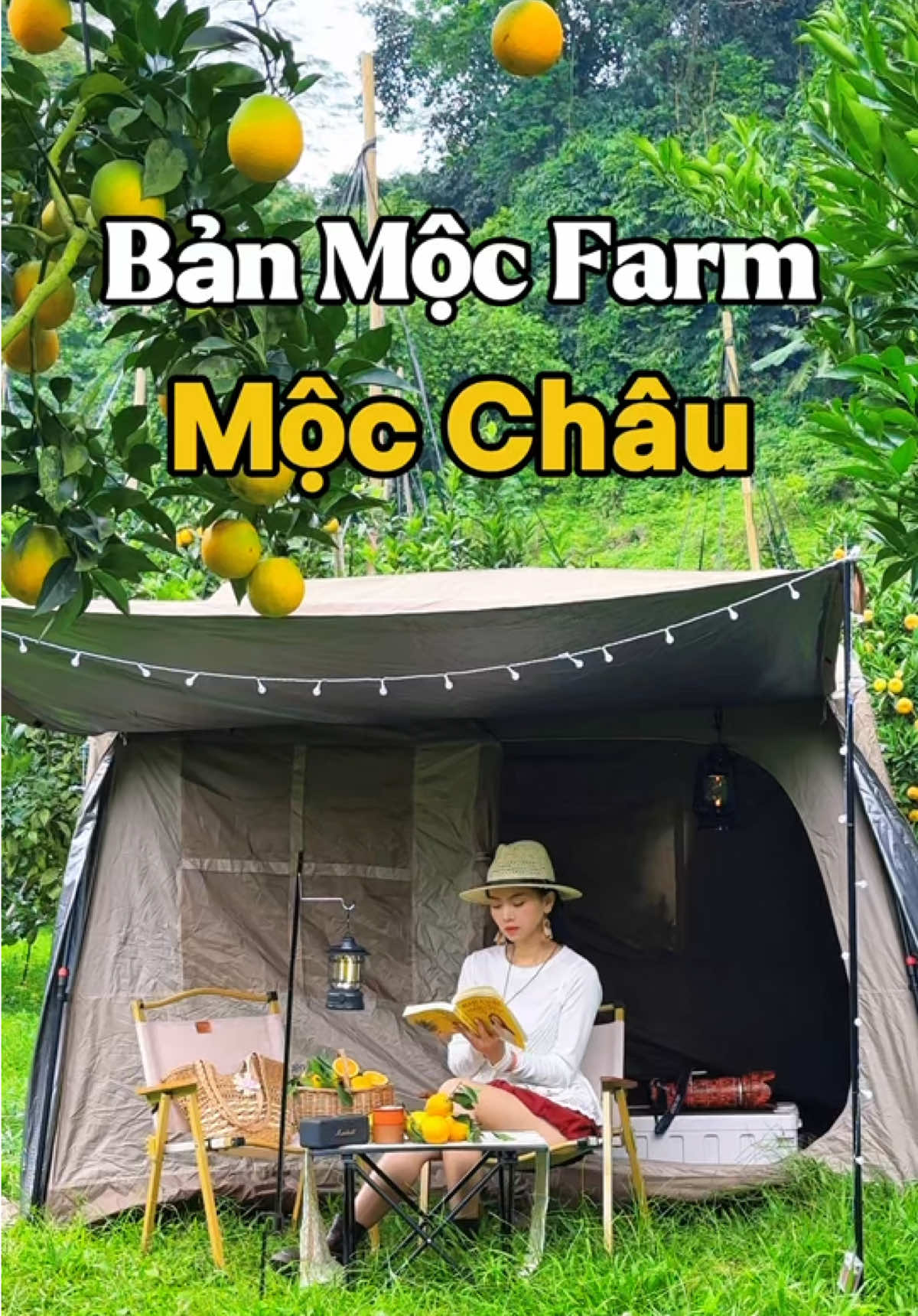 Ở đây có sự xinh xẻo.! Vườn cam cực chill với những cây cam sai trĩu quả, chín mọng tại Bản Mộc Farm - Mộc Châu. Khi tới đây mọi người có thể tham gia vào hoạt động trải nghiệm hái quả và thưởng thức trực tiếp tại vườn, check in bên những góc chụp hình cực xinh xắn, cùng với thảm cỏ xanh mướt sẽ vô cùng phù hợp dành cho những ai có nhu cầu dựng lều camping qua đêm. Bản Mộc Farm Mộc Châu hứa hẹn sẽ là địa điểm check in vô cùng lý tưởng dành cho du khách đi du lịch Mộc Châu mùa này #Dinhvanphucdichill  #Banmocchaufarm #Mocchau #Dulichmocchau #Chupanh 