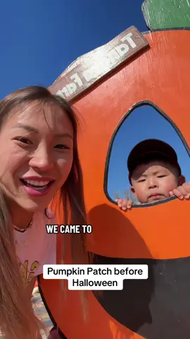 We love pumpkin season #pumpkinseason #halloween #kidstiktok #cornmaze #kidactivities 