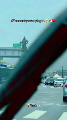 ජීවිතේ ගොඩදාගන්න ආව දුරක්.☺️🇰🇷💸#dreamkorea🇰🇷🇰🇷😘 #seoul #viral #fyp #travel 