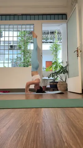 View đi dạy xinh xắn qá phải tranh thủ quay chụp 🧘🏻‍♀️  Noel tết tới nơi rồi tập yoga đi chị em ơi, cuối năm vội vã chớ bỏ quên bản thân mình nhaaa #yogatanbinh #yoga #tapyoga #tiktok #capcut 