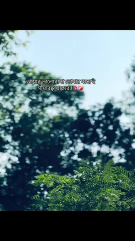 আমার ভালোবাসা তোমার মধ্যে'ই সীমাবদ্ধ থাকবে.!🫀❤️‍🩹