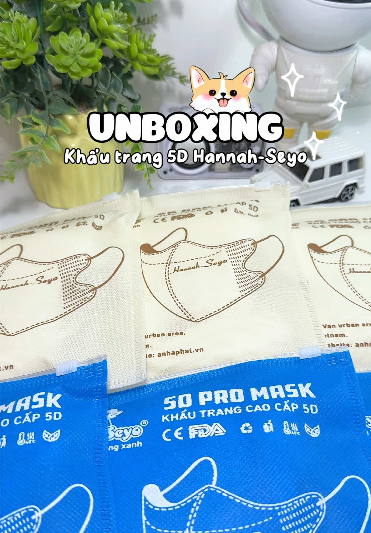 Khẩu trang 5D Hannah-Seyo #khautrang #hannahseyo #khautrang5d #khautranghannahseyo 