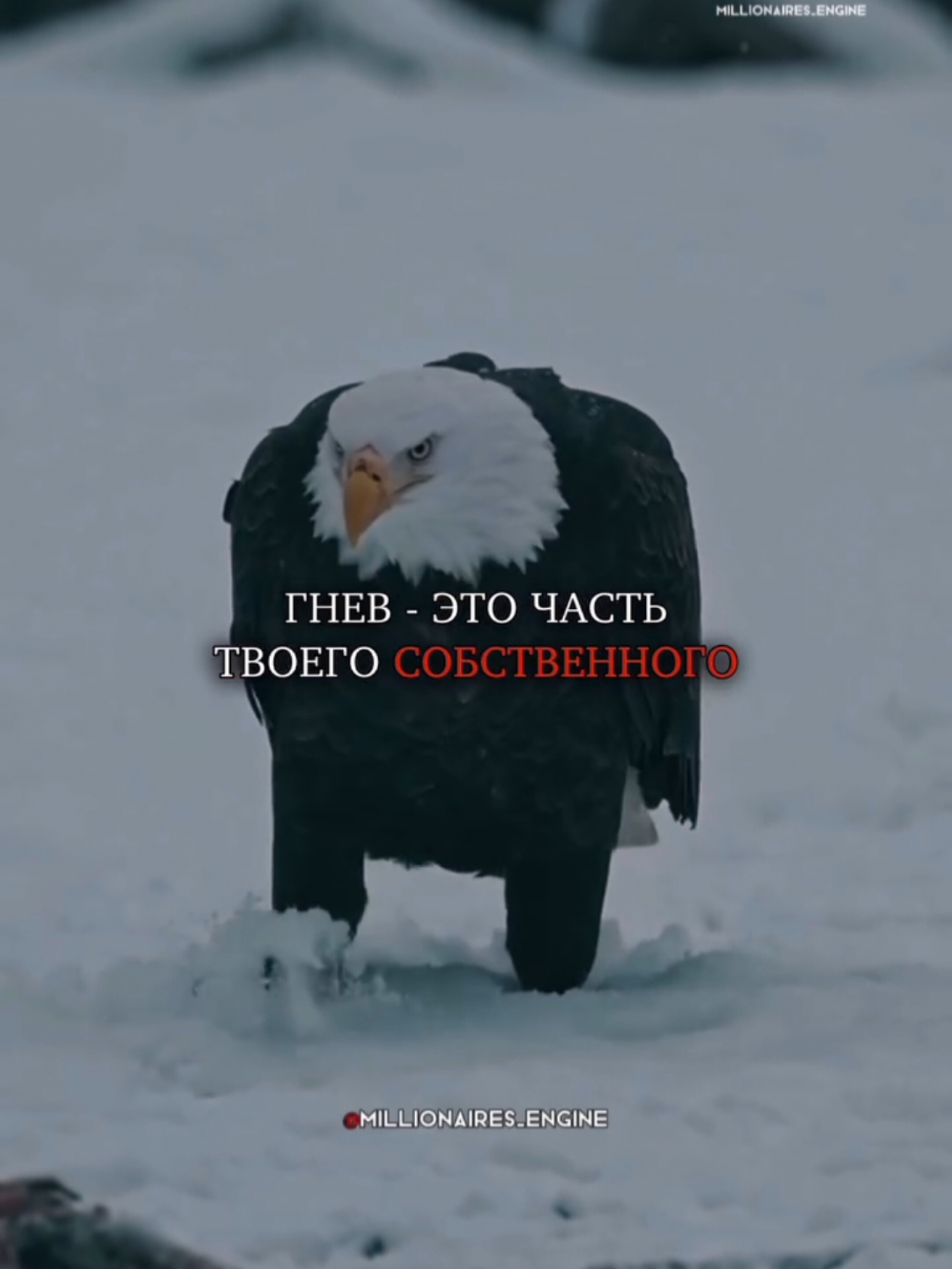 4 Реальности, которые тебе следует принять .