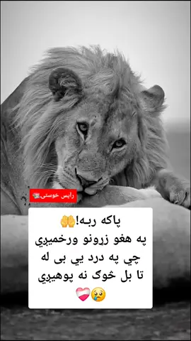 #viral #vedio #خوستوال 💪❤️