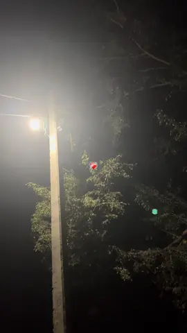 Apno shai vi daar lagta hai🥺 #mightyankit #part38 #foryoupage #birgunjmuser #nightview 