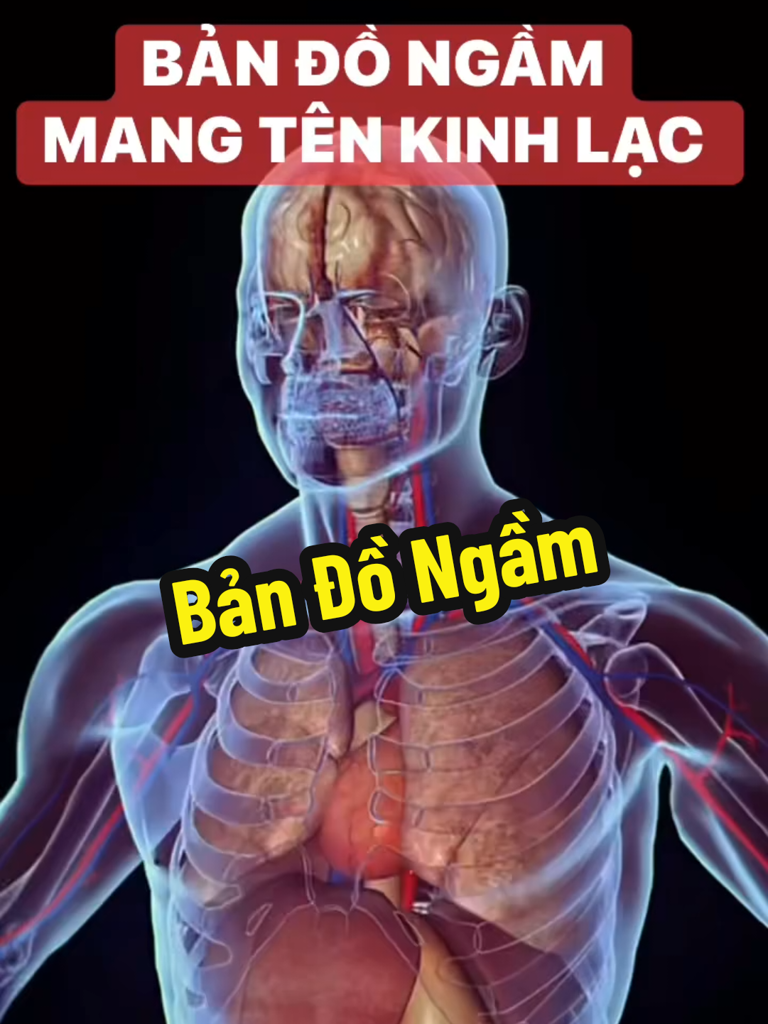 🧘‍♂️👉 Hệ thống kinh lạc bản đồ ngầm của cơ thể !  ...  #yhoc #thethao247 #tichcuc #doidoisong #thaoduocdantoc 