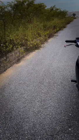 Zin 🫶 #wave110izoneสุรินทร์🖤🇹🇭 #wavedokieng #wave125i_ไฟเลี้ยวบังลม #wavethailand🇹🇭 #wave41394 