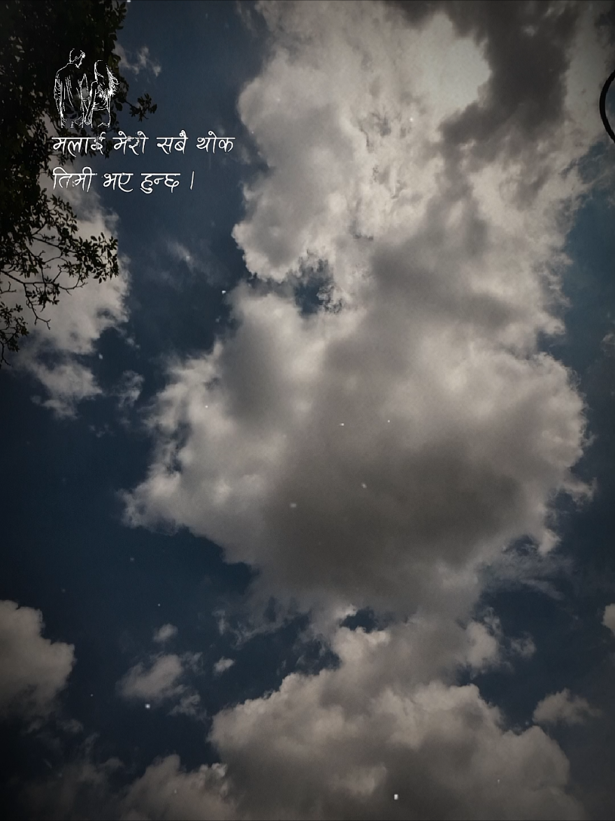 #CapCut #foreyoupage #nature #meeja79 #creatorsearchinsights2025 