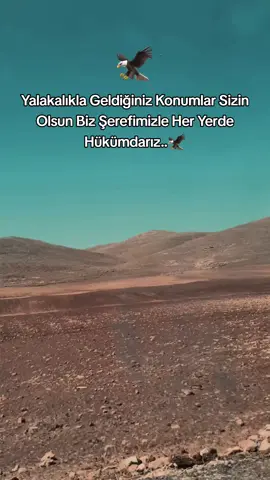 𝐒𝐓𝐎𝐑𝐘𝐋İ𝐊 | 𝐬ö𝐳𝐥𝐞𝐫 𝐛ı𝐫𝐚𝐤ı𝐧..🗽 #storilikvideolar📌 #baranergin #keşfet #fypシ゚ 