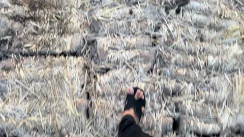 #xunghuongtiktok sóc cảnh quê #soctrang83 