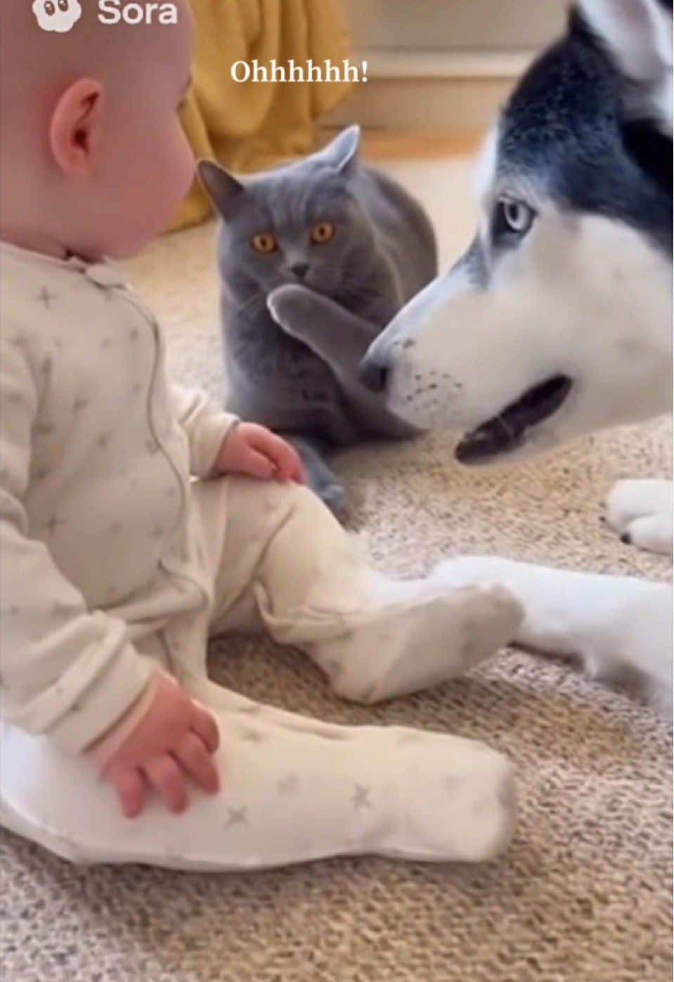 Cat Shocked by dog Imitating Him 🙀 #babyanddog #ai #baby #catsoftiktok #aigenerated 