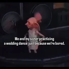 #foryou #viral #explore 