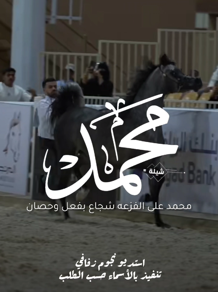 شيلة باسم محمد 2026 شيلة مدح محمد #استديو_نجوم_زفافي #لطلب_الشيلات_0505336824 #السعودية #الكويت #قطر  #تصميم_فيديوهات🎶🎤🎬تصميمي🔥 #تصميم_اسماء_حسب_الطلب #شيلة_باسم_محمد #شيلة_محمد #محمد 