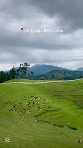 Chitlang,kulekhani 🎑1 day trip —————Kartik 15 / Saturday Rs1000 per person !!!!😄             Solo booking available for all 😁 6:30 fix departure from bhrikutimandap 🚎#driveadventurerental #driveadventure #chitlang #nature #fyp 