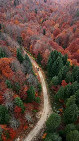 الخريف في جبال الأولوداغ في بورصة #تركيا #تصوير #تصويري_احترافي_الاجواء👌🏻🕊😴 #طبيعة #سفر 