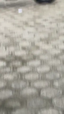 😇👋🏻#mxkingsolostyle #fyp 