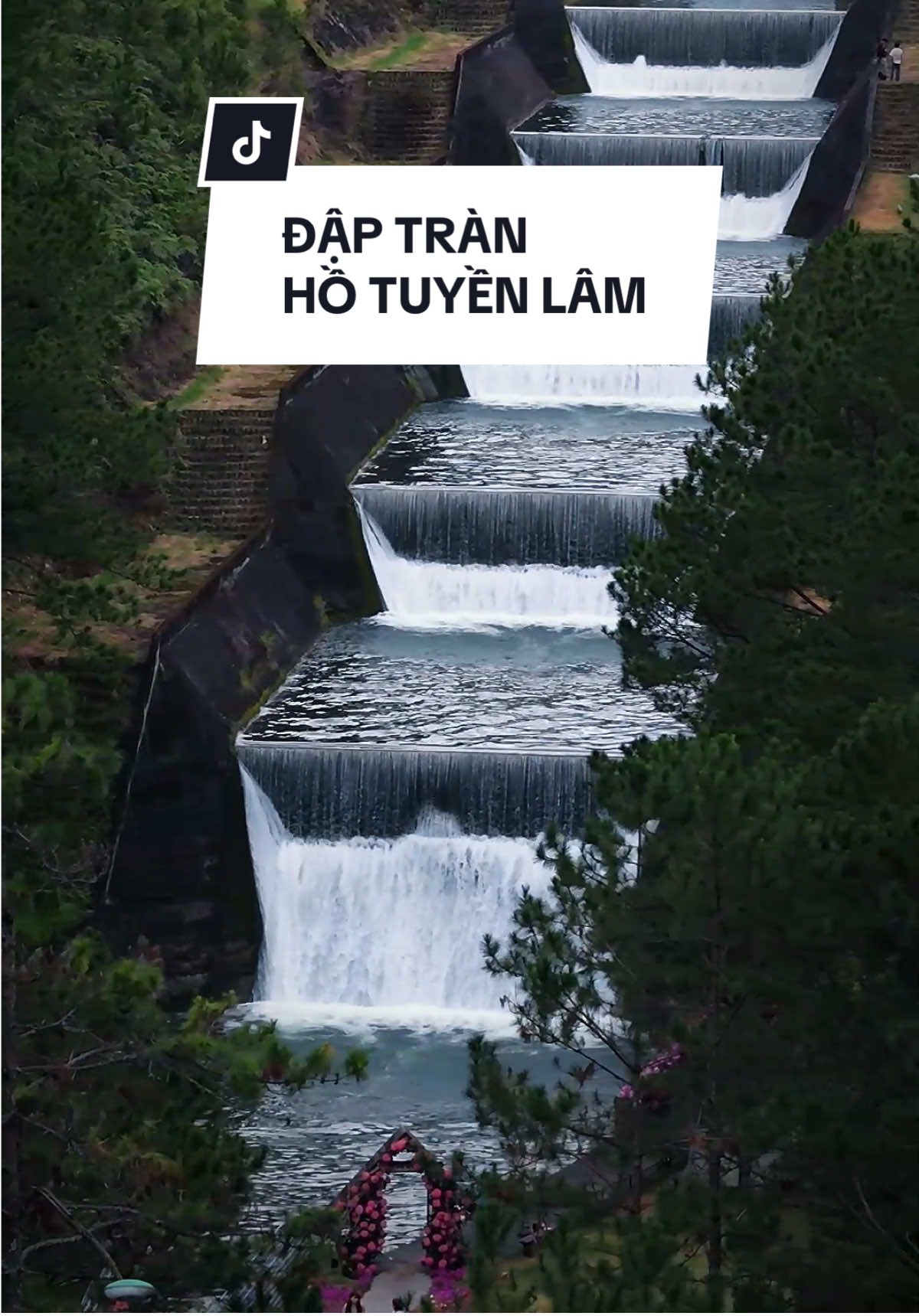 Lời chưa nói anh thả vào trong cơn gió... #daptranhotuyenlam #dalat #lamdong #TikTokAwardsVN #xuhuong2025 