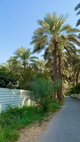 #حاتم_العراقي #اماكنه_الي_رحناها #تصويري #بغداد #قناتي_تليجرام_بالبايو💕🦋 