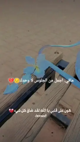 مافي. اجمل من الجلوس لا وحدك😔💔#🌼♥ 