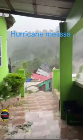 165 mph winds tearing through Portland this is what Cat 5 looks like. #HurricaneMelissa #Jamaica #fyp 