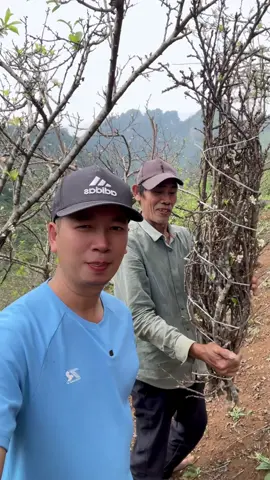 😍“Cụ ông Sơn La khiến hội chị em phải thốt lên: ‘Khéo thế này thì chịu thua rồi cụ ơi!’” 🥰 #bangtaybac  #damman  #hoaman  #vuive  #tiktok 