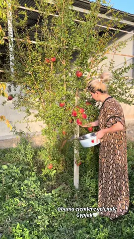 Ejemjanyn oyunde rahat ❤️ like