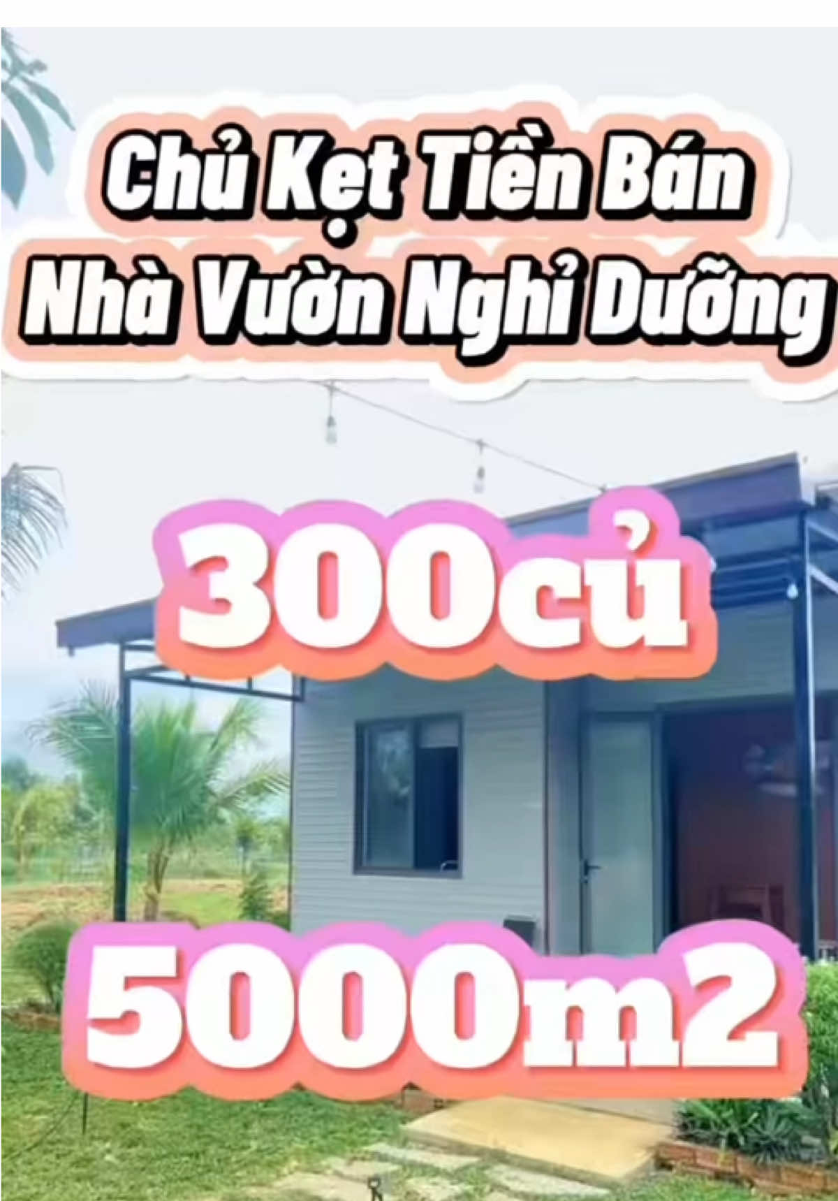 Miếng đất vườn 5000m2 giá 300 củ chốt liền nhen #bdsbinhphuoc #bdsgiare #bdshanoi #bdsbinhduong #bdsdongnai 
