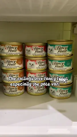 Mini restock with their fave pâté — Fancy Feast 🫶🏻 Does your cat like Fancy Feast too? Check the yellow basket! 🥰 #fancyfeast #wetfood #cattok #affiliate #catfood 