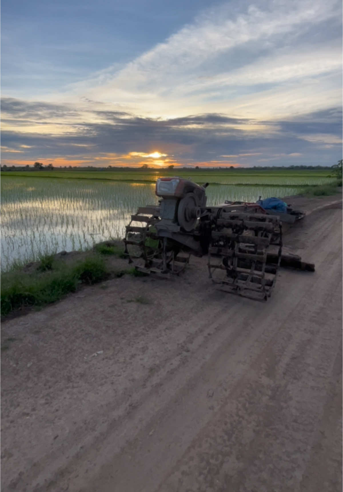rolling lurr#traktorsawah #traktor #rayapsawah #sawah #padi #petaniindonesia🇮🇩🇮🇩🇮🇩🌿🌿 #petanikalteng #kualakapuas #tirusan #fyp #fyppppppppppppppppppppppp 
