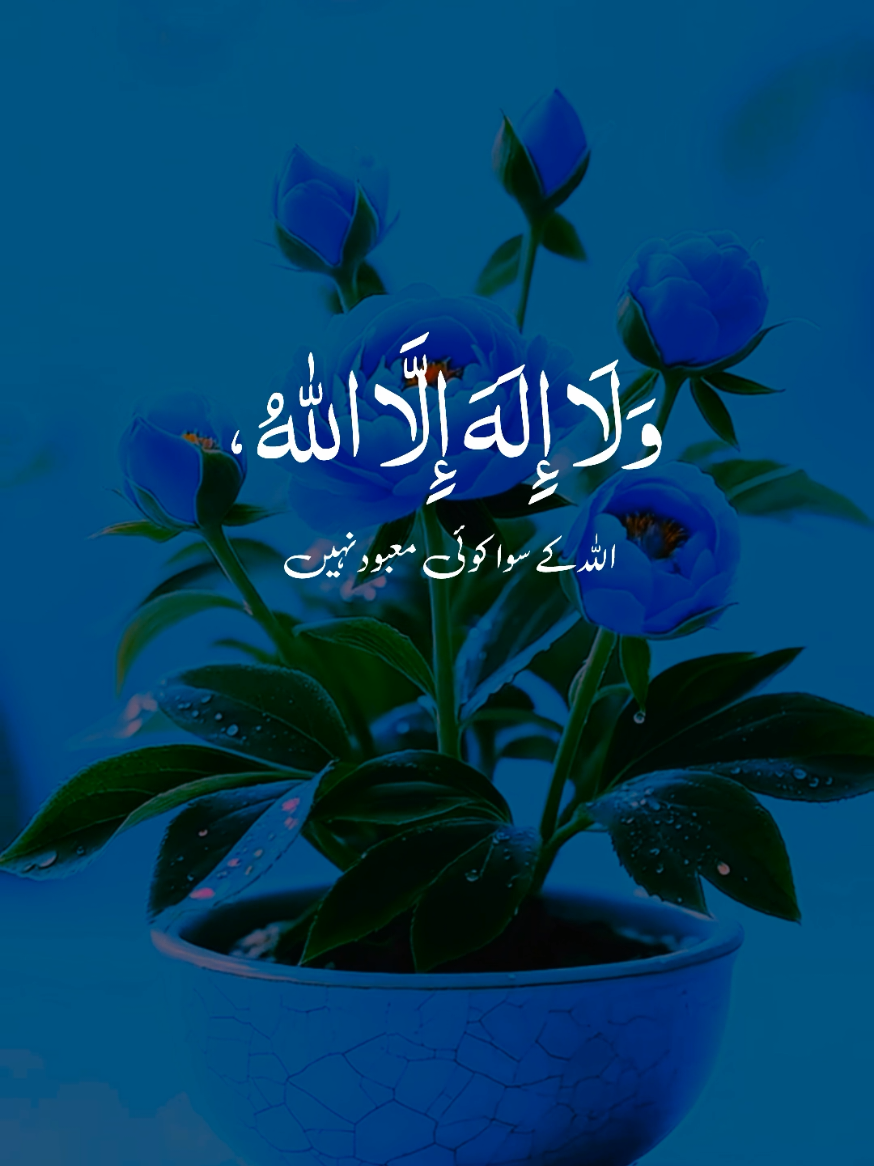 #Subhanallah #alquran_recit1 #foryoupage #fyp #Allah 