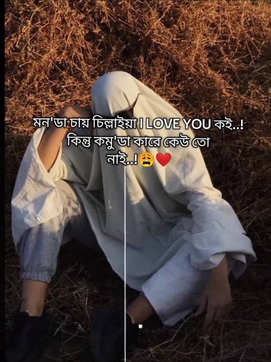 মন'ডা চায় চিল্লাইয়া I LOVE YOU কই..! কিন্তু কমু'ডা কারে কেউ তো নাই..!😩❤️‍🩹 . . ... .#tiktokt #foryou #fypシ゚ #bdtiktokofficial 